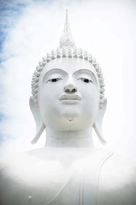 Full Download A White Buddha Meditation Journal: 150 Page Lined Notebook/Diary -  file in ePub