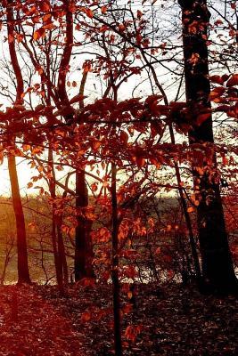 Download Inspirational Journal: Journal with 150 Lined Pages -  | ePub