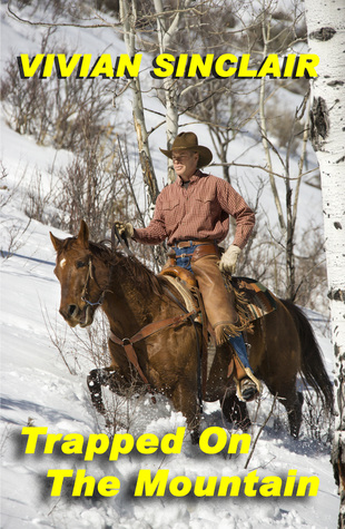 Read Trapped On The Mountain (Wyoming Christmas Book 3) - Vivian Sinclair | PDF