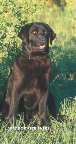 Full Download Labrador Retrievers 2012 Two Year Pocket Planner -  file in PDF