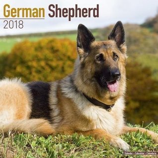 Read NOT A BOOK: German Shepherd Calendar - Dog Breed Calendars - 2017 - 2018 wall Calendars - 16 Month by Avonside -  file in ePub
