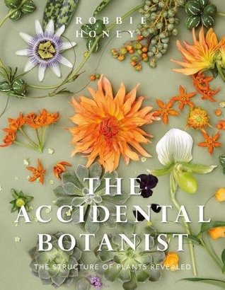 Download Accidental Botanist: The Structure of Plants Revealed - Robbie Honey file in PDF