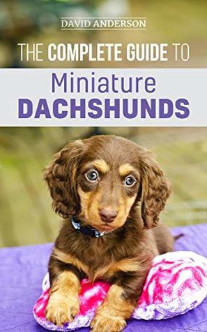 Download The Complete Guide to Miniature Dachshunds: A step-by-step guide to successfully raising your new Miniature Dachshund - David Anderson file in ePub